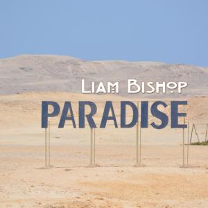 Listen to Won't Cry About It (RnB Lounge Mix) song with lyrics from Liam Bishop