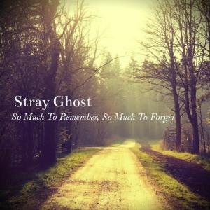 ดาวน์โหลดและฟังเพลง You Are Golden, Shaded Beauty พร้อมเนื้อเพลงจาก Stray Ghost