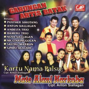 收聽Nova Siallagan的Kartu Nama Palsu歌詞歌曲