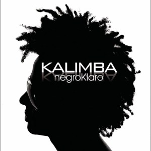 ดาวน์โหลดและฟังเพลง Sin Darle Amor พร้อมเนื้อเพลงจาก Kalimba