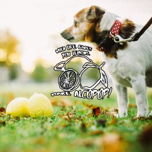 ดาวน์โหลดและฟังเพลง Tempo พร้อมเนื้อเพลงจาก Husky Loops