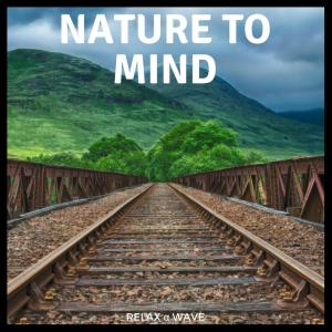 Listen to Whisper in the Woods song with lyrics from Relax α Wave