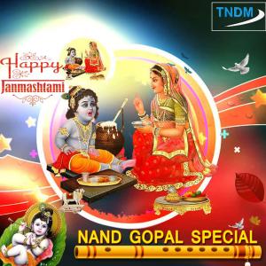 Listen to Tu Radhe Radhe Gaale song with lyrics from Rajesh Goswami
