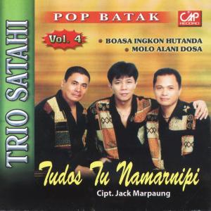 Dengarkan lagu Unjuk Na Bolon nyanyian Trio Satahi dengan lirik