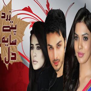 收听Rahat Fateh Ali Khan的Jese Mitti Ka Ho Ik Diya (From "Zard Patay Sayeh Dil")歌词歌曲
