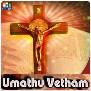 ดาวน์โหลดและฟังเพลง Devanaiye พร้อมเนื้อเพลงจาก Jothi
