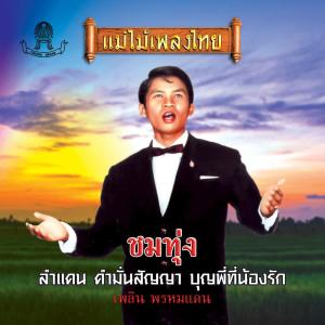 Listen to คำมั่นสัญญา song with lyrics from เพลิน พรหมแดน