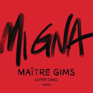 Album Mi Gna (Maître Gims Remix) from Hayko