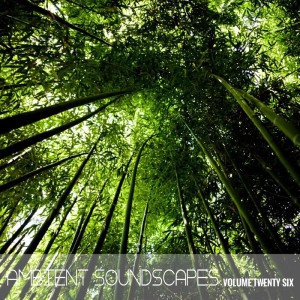 Various的专辑Ambient SoundScapes Vol.26