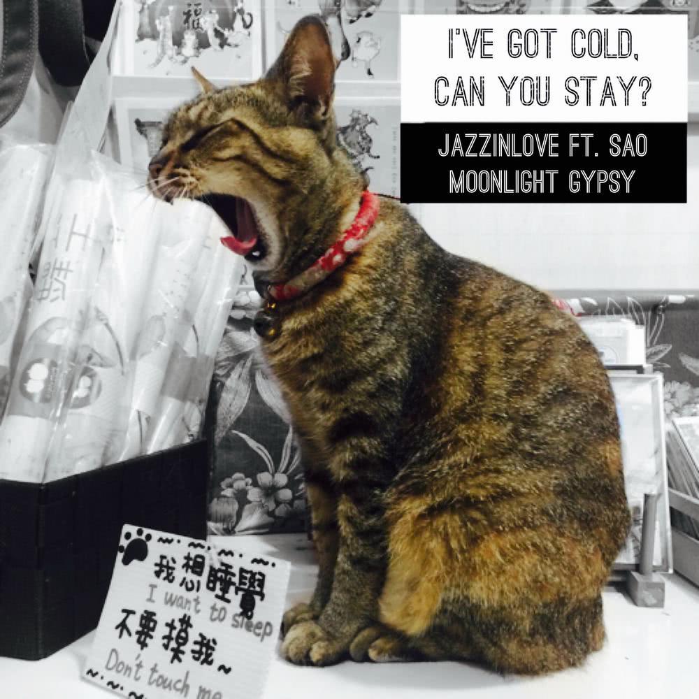 I've Got Cold, Can You Stay? (Feat. Sao Moonlight Gypsy)