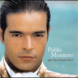 ดาวน์โหลดและฟังเพลง Hay Amores พร้อมเนื้อเพลงจาก Pablo Montero
