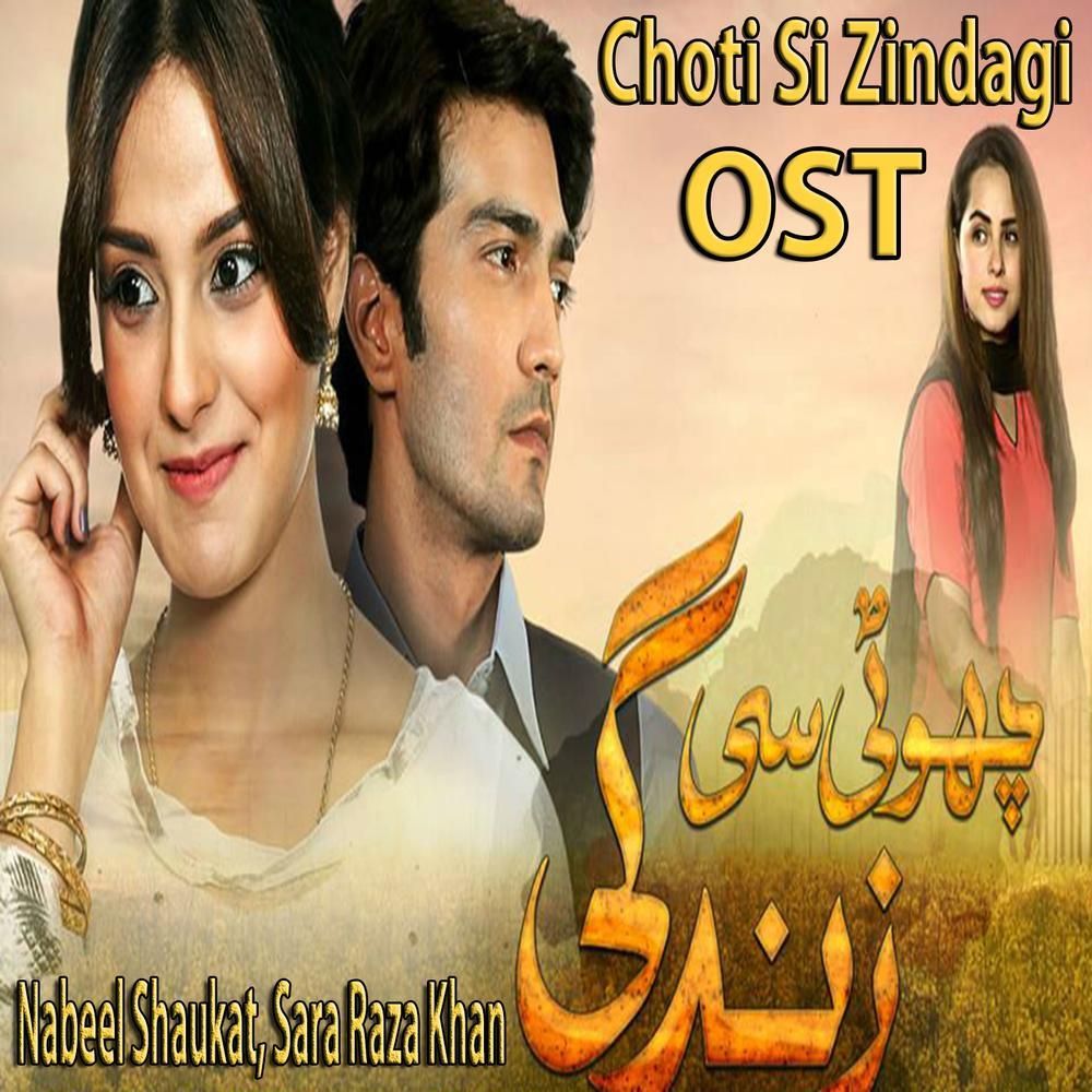 Choti Si Zindagi