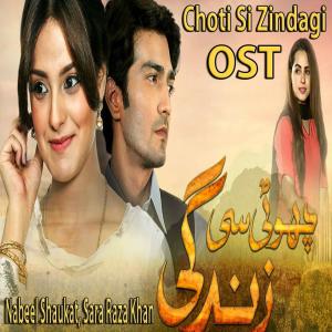 ดาวน์โหลดและฟังเพลง Choti Si Zindagi พร้อมเนื้อเพลงจาก Nabeel Shaukat