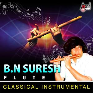 收聽B.N.Suresh的Ragam Thanam Pallavi - Shanmugapriya - Triputa, Pt. 2歌詞歌曲