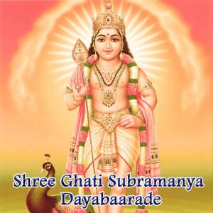 收聽Shivamallu的Narayana歌詞歌曲