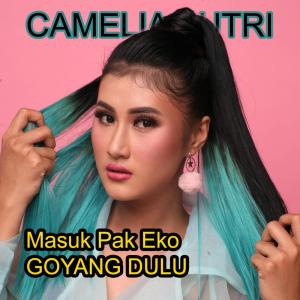 Listen to Masuk Pak Eko Goyang Dulu song with lyrics from Camelia Putri