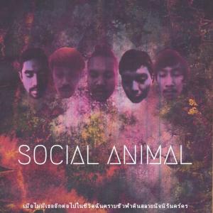 Listen to เมื่อไม่มีเธออีกต่อไปในชีวิตฉันตราบชั่วฟ้าดินสลายนิจนิรันดร์ดร song with lyrics from SOCIAL ANIMAL