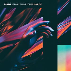 ดาวน์โหลดและฟังเพลง If I Can't Have You พร้อมเนื้อเพลงจาก SNBRN
