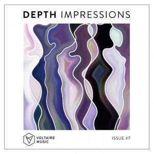 Various Artists的專輯Depth Impressions Issue #7