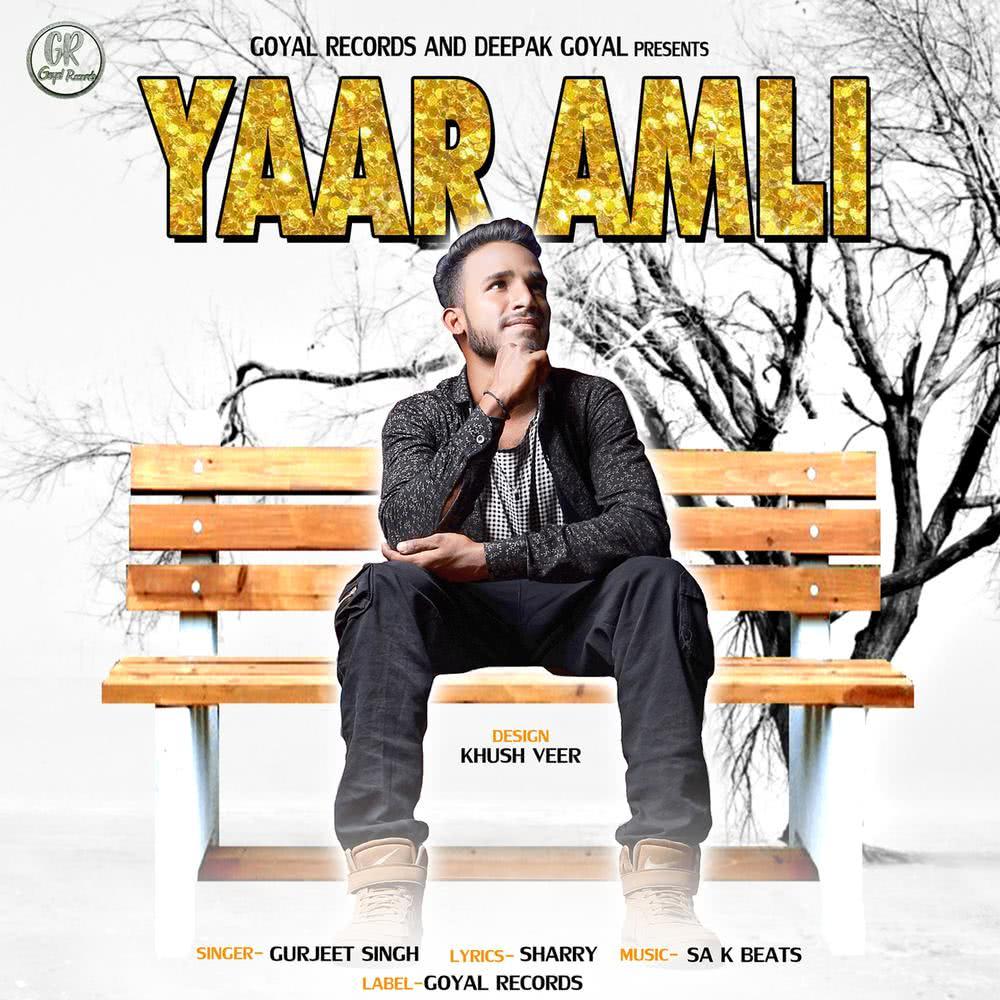 Yaar Amli