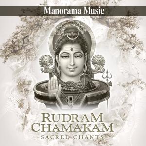 Dengarkan Durgasuktam lagu dari Yashasvi Ramakrishna Sharma dengan lirik