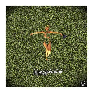 Listen to Ein ganz normaler Tag song with lyrics from Antifuchs
