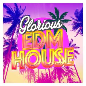 EDM House Hits的專輯Glorious EDM House