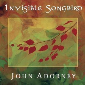 Album Invisible Songbird from 约翰·安铎尼
