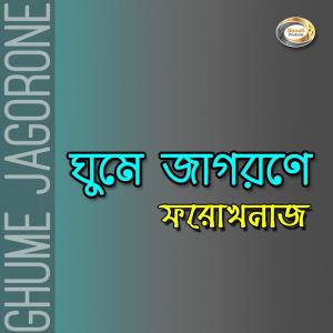 收听Forak Naz的Chole Jabe Tumi歌词歌曲