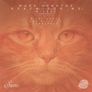 Listen to Reach for Me (Original Mix) song with lyrics from Mark Jenkyns