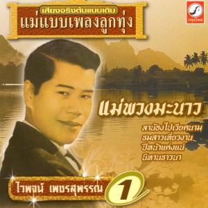 ดาวน์โหลดและฟังเพลง ดอกฟ้ายาจก พร้อมเนื้อเพลงจาก ไวพจน์ เพชรสุพรรณ