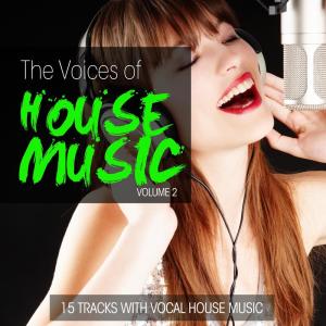 Listen to Never Back Down (Remix) song with lyrics from Alpa De Vale