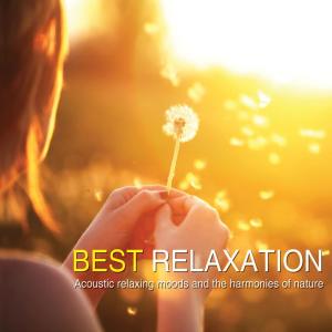 Album Best Relaxation from Various