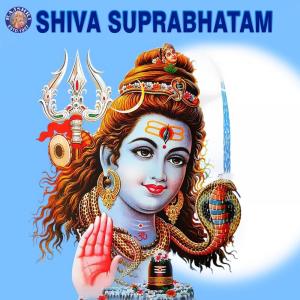 Listen to Rudra Chamakam song with lyrics from Vighnesh Ghanapaathi