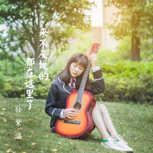 Listen to 来不及说的都在这里了 song with lyrics from 孙紫涵