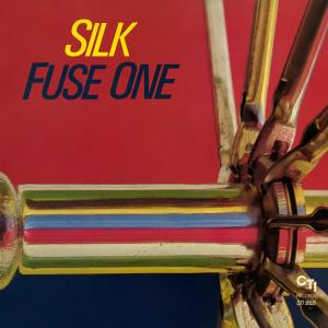 ดาวน์โหลดและฟังเพลง Silk พร้อมเนื้อเพลงจาก Fuse One