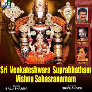 Balu Sharma的专辑Sri Venkateshwara Suprabhatham Vishnu Sahasranamam