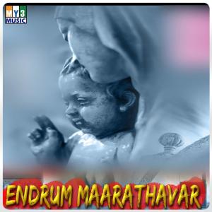 Listen to Eni song with lyrics from Edvina Sis