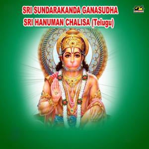 อัลบัม Sri Sundarakanda Gana Sudha Sri Hanuman Chalisa ศิลปิน T. Srinivas