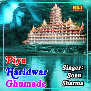 ดาวน์โหลดและฟังเพลง Hay Hay Gora Marjani พร้อมเนื้อเพลงจาก Sonu Sharma