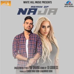Listen to Remix of Na Ja (Remix) song with lyrics from Pav Dharia