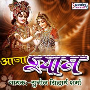 Dengarkan lagu Hum Tere Aashiq Hai Pyare nyanyian Sunil Siddharth Sharma dengan lirik