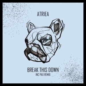 Listen to Break This Down (其他|PAX Remix) song with lyrics from Atriea