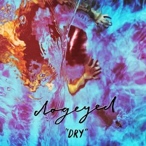 Dengarkan Dry lagu dari Dogeyed dengan lirik