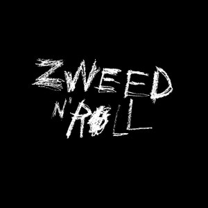 Listen to ธันวาคม song with lyrics from Zweed n' Roll