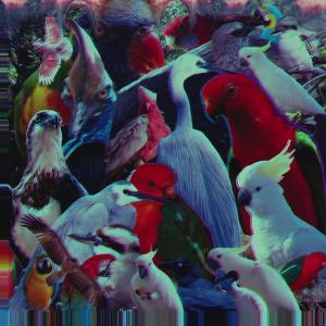 ดาวน์โหลดและฟังเพลง Castle Castle พร้อมเนื้อเพลงจาก Strange Forces