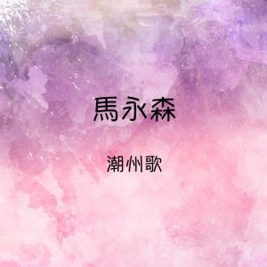 Listen to 我悄悄蒙上你的眼睛 song with lyrics from 马永森