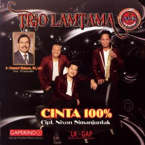 Dengarkan lagu Au Nampuna Ho nyanyian Trio Lamtama dengan lirik