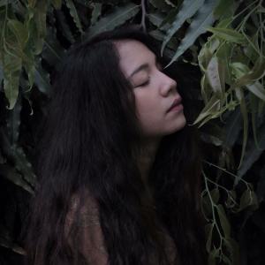 Listen to ล่อง song with lyrics from Sao Moonlight Gypsy