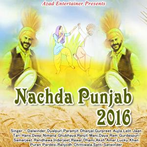 Various的专辑Nachda Punjab 2016
